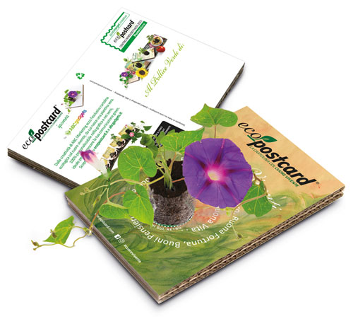 Ecocartolina con semi Eco-Postcard Ecocartolina con semi Eco-Postcard