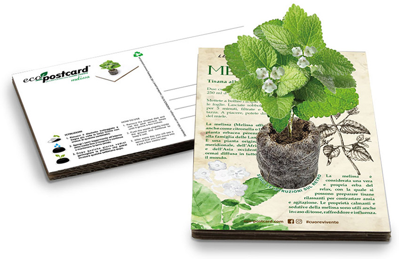 Ecocartolina con semi Eco-Postcard Ecocartolina con semi Eco-Postcard