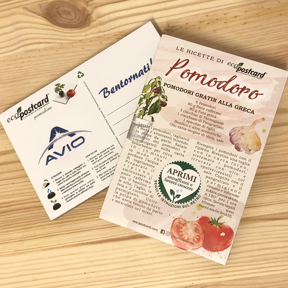 Biglietti di auguri con stampa di cactus tropicali biglietti di ringraziamento personalizzati biglietti in bianco con buste per tutte le occasioni