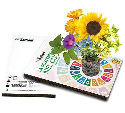 cartolina semi eco sostenibile Eco-Postcard