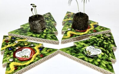 Il nostro impegno ambientale